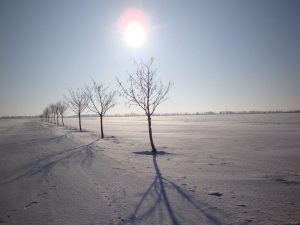 Winter im Oderbruch Januar 2010